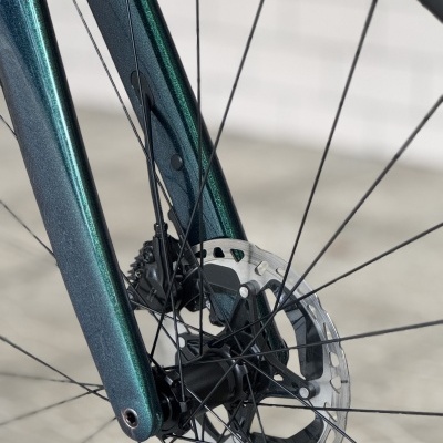 Roda de bicicleta com disco de travão e garfo verde metálico