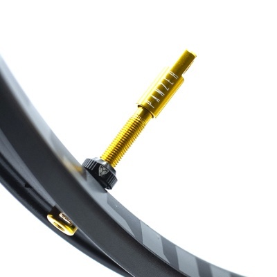 VALVULAS TUBELESS PANZER - PANZER VLV (2 UN.)