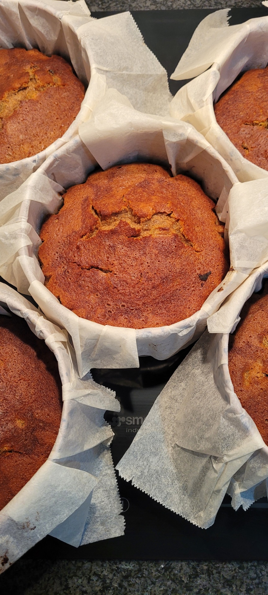 Bolo&#x20;Na&#x20;Lata&#x20;&#x28;bolo&#x20;maturado&#x29;