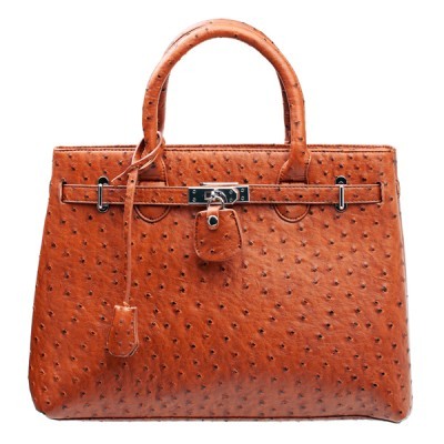 Hanging Succulent Planters