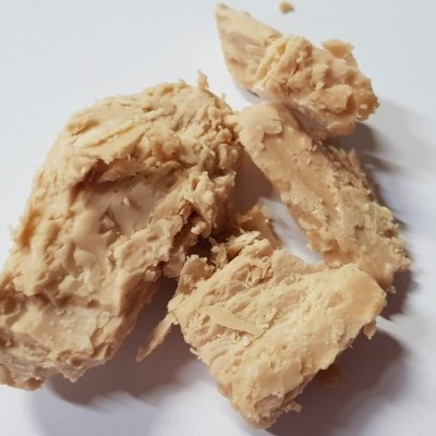 Fermento de padeiro fresco