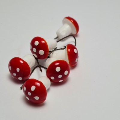 Cogumelos para decoração