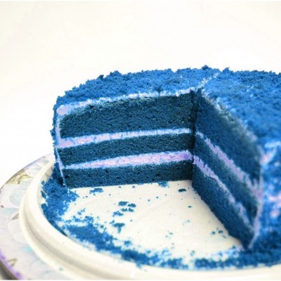 Bolo blue velvet