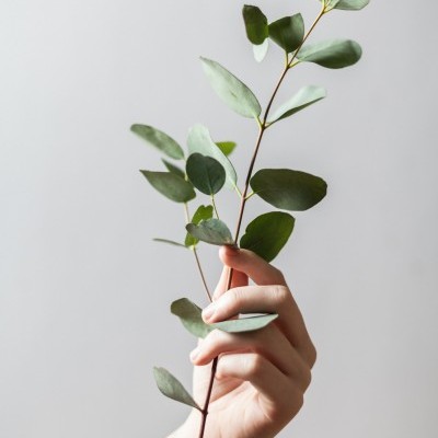 Droplet Plant Kit 🌱