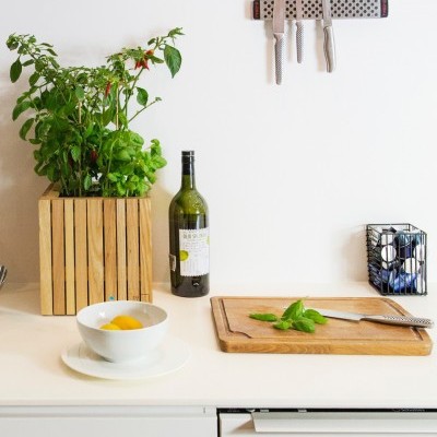 Droplet Plant Kit 🌱