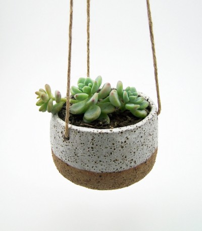 Hanging Succulent Planter