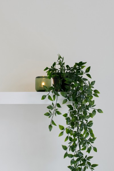 Vaso preto com planta pendente e castiçal verde numa prateleira branca