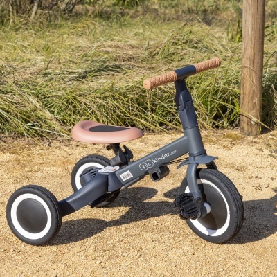 Triciclo/Bicicleta Kinderland Tricycle