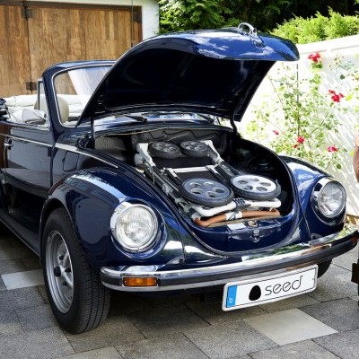 Seed Pli - artigo de exposição Seed Pli - artigo de exposição