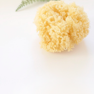 Esponja natural Saro