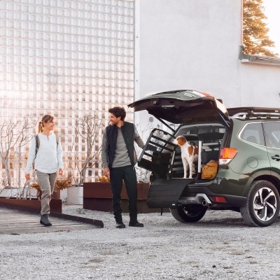 SUV verde com porta traseira aberta, cão dentro e duas pessoas próximas