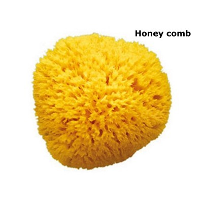 Esponja natural OKBaby Natural Sponge