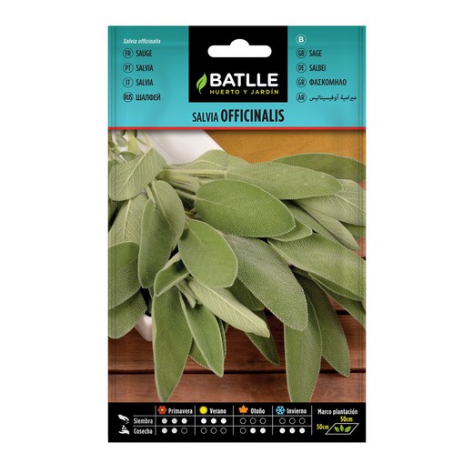 Salvia Officinalis Batlle 1,5g Salvia Officinalis Batlle 1,5g