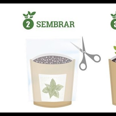 Bolsa de Cultivo Manjericão Garden Pocket