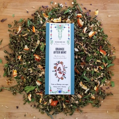 https://www.desafiosaudavel.pt/product/paisagindo-orange-after-mint-blend-de-ervas-e-frutos