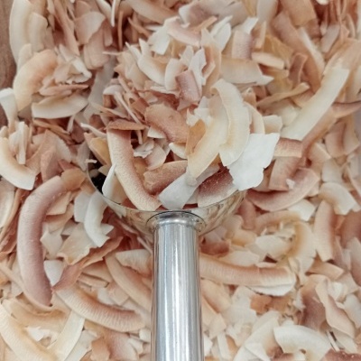 Coco Seco Laminado e Torrado GRANEL