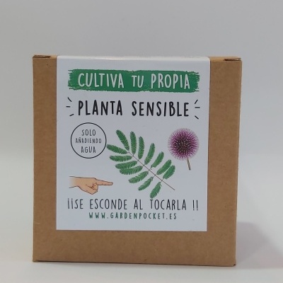 https://www.desafiosaudavel.pt/product/cultiva-tu-proprio-a-planta-sensivel