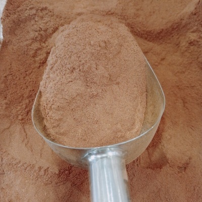 Canela do Ceilão em Pó Bio GRANEL