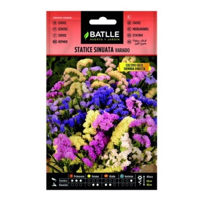 https://www.desafiosaudavel.pt/product/batlle-estatice-sinuata-variada