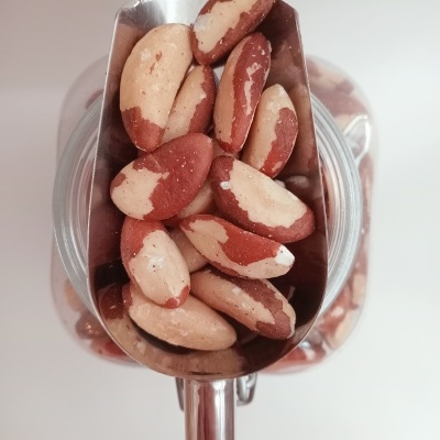 Castanha do Brasil GRANEL