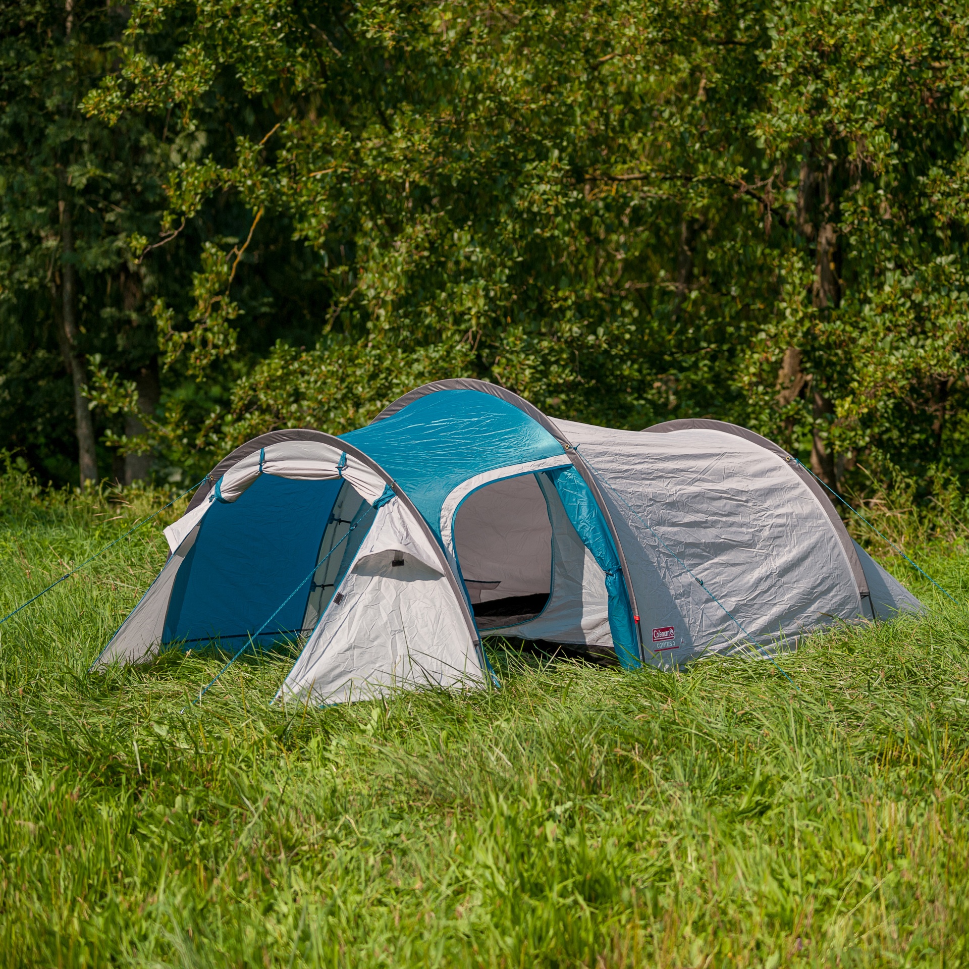 Tenda de campismo cinzenta e azul Coleman montada em relva