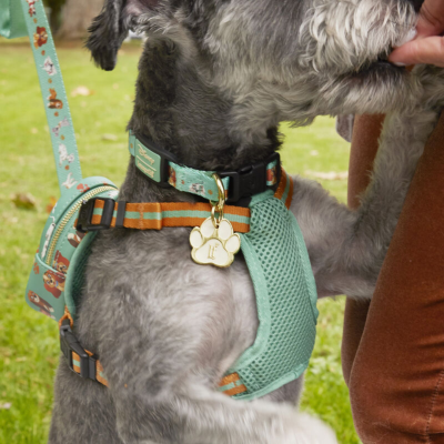 Coleira LoungeFly Pets I Heart Disney Dogs (Disponível em Vários Tamanhos)