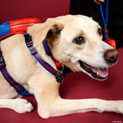 Coleira LoungeFly Pets Marvel Spider-Man (Disponível em Vários Tamanhos)