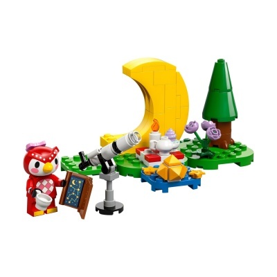 LEGO Animal Crossing Stargazing with Celeste