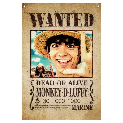 Wall Banner One Piece Netflix Monkey D. Luffy Wanted Poster