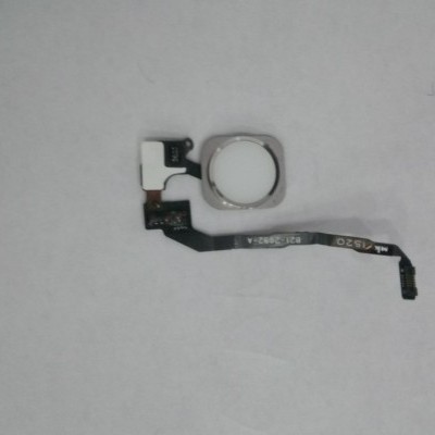 flex botao branco iphone 5S/SE