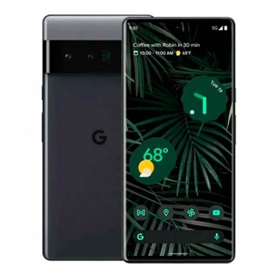 Smartphone Google Pixel preto com ecrã ligado e fundo de folhas verdes.