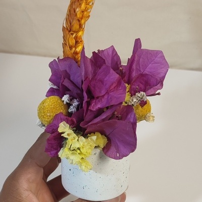 Vaso Flores do Campo - Edição Limitada