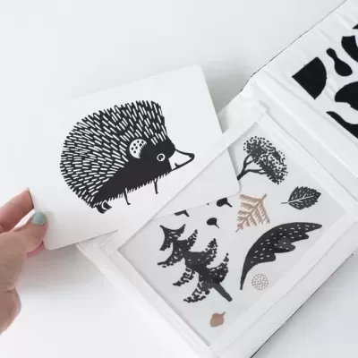 Galeria&#x20;Tummy&#x20;Time