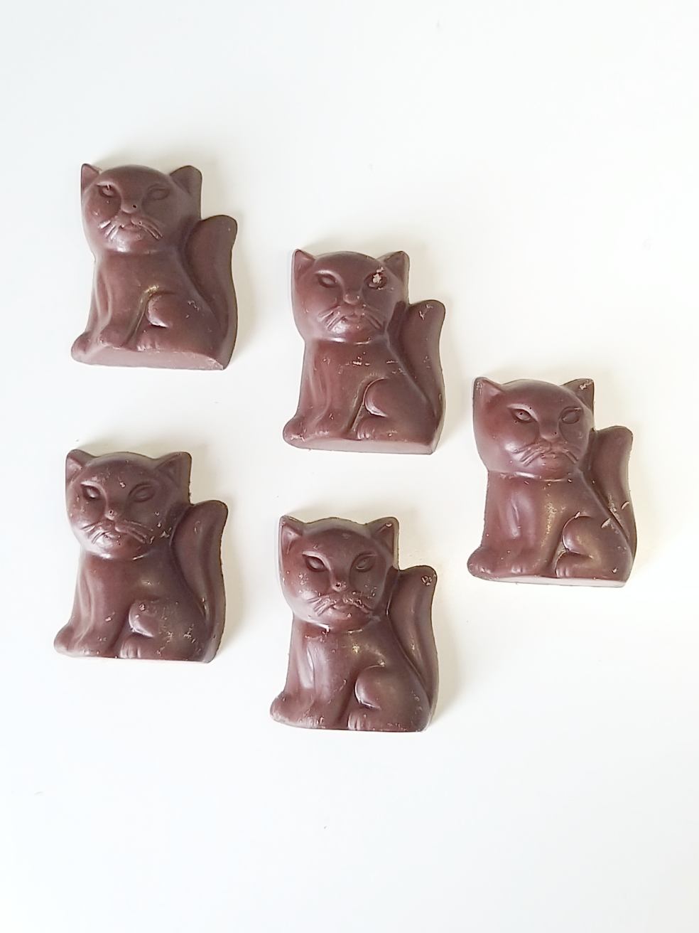 Cinco chocolates em forma de gato castanho escuro sobre fundo branco