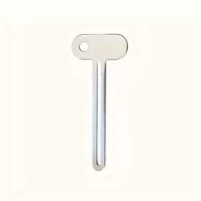 Chave metálica prateada com ponta longa e cabeça arredondada com furo