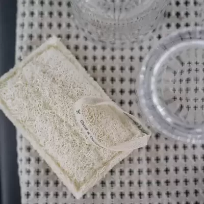 Esponja de Cozinha de Luffa - Croll & Denecke