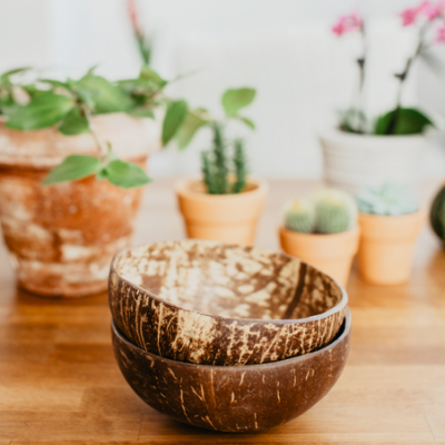 Duas tigelas feitas de casca de coco em cima de mesa de madeira com plantas ao fundo