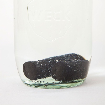 FILTRO DE CARVÃO BINCHOTAN PARA ÁGUA - GRANEL - NÃO CALIBRADO FILTRO DE CARVÃO BINCHOTAN PARA ÁGUA - GRANEL - NÃO CALIBRADO