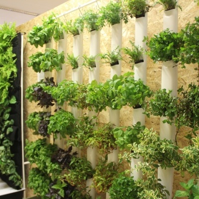 Pequenos Sistemas Personalizados