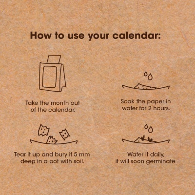 Calendário para Plantar 2025