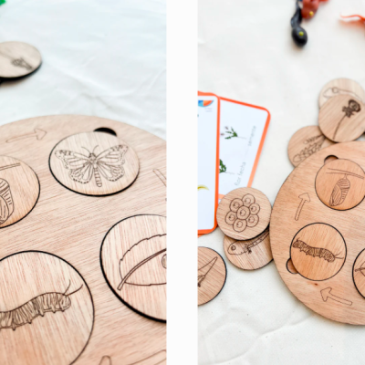 Ciclos de Vida - Puzzle