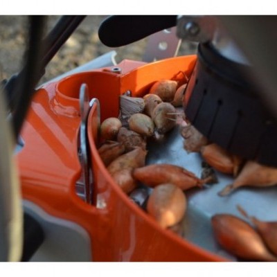Transplantador de uma única linha de bolbos