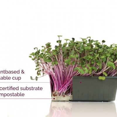 Kit Microvegetais 40 bandejas e celulose