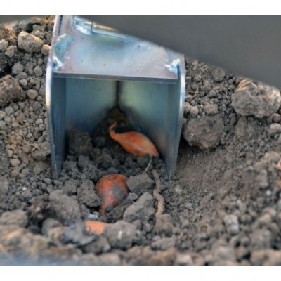 Transplantador de uma única linha de bolbos