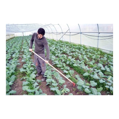 Enxada Stirrup Ómega