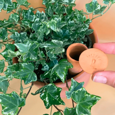 Tubo Barro para Rega