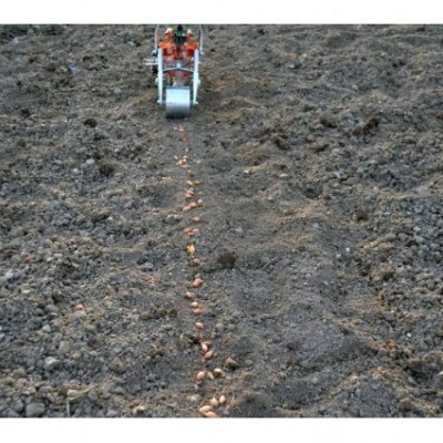 Transplantador de uma única linha de bolbos