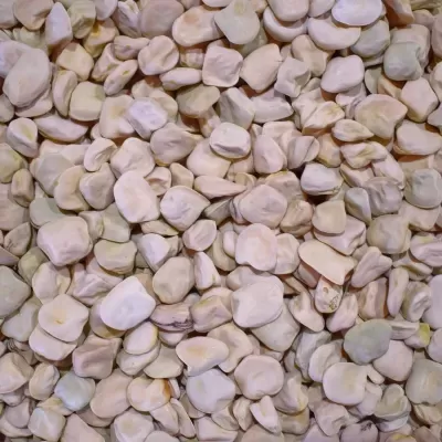 Sementes Vivas - Chícharo 50g