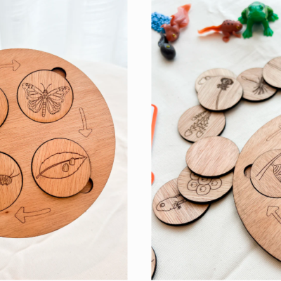 Ciclos de Vida - Puzzle