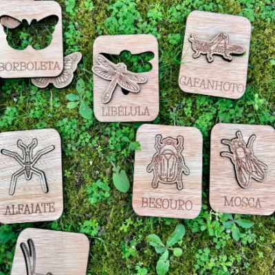 Conheces este Inseto? Puzzle